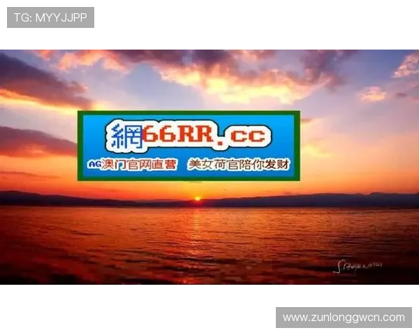 尊龙凯时网站登录遇到问题怎么办？详细步骤指导帮助用户快速排查与解决登录难题